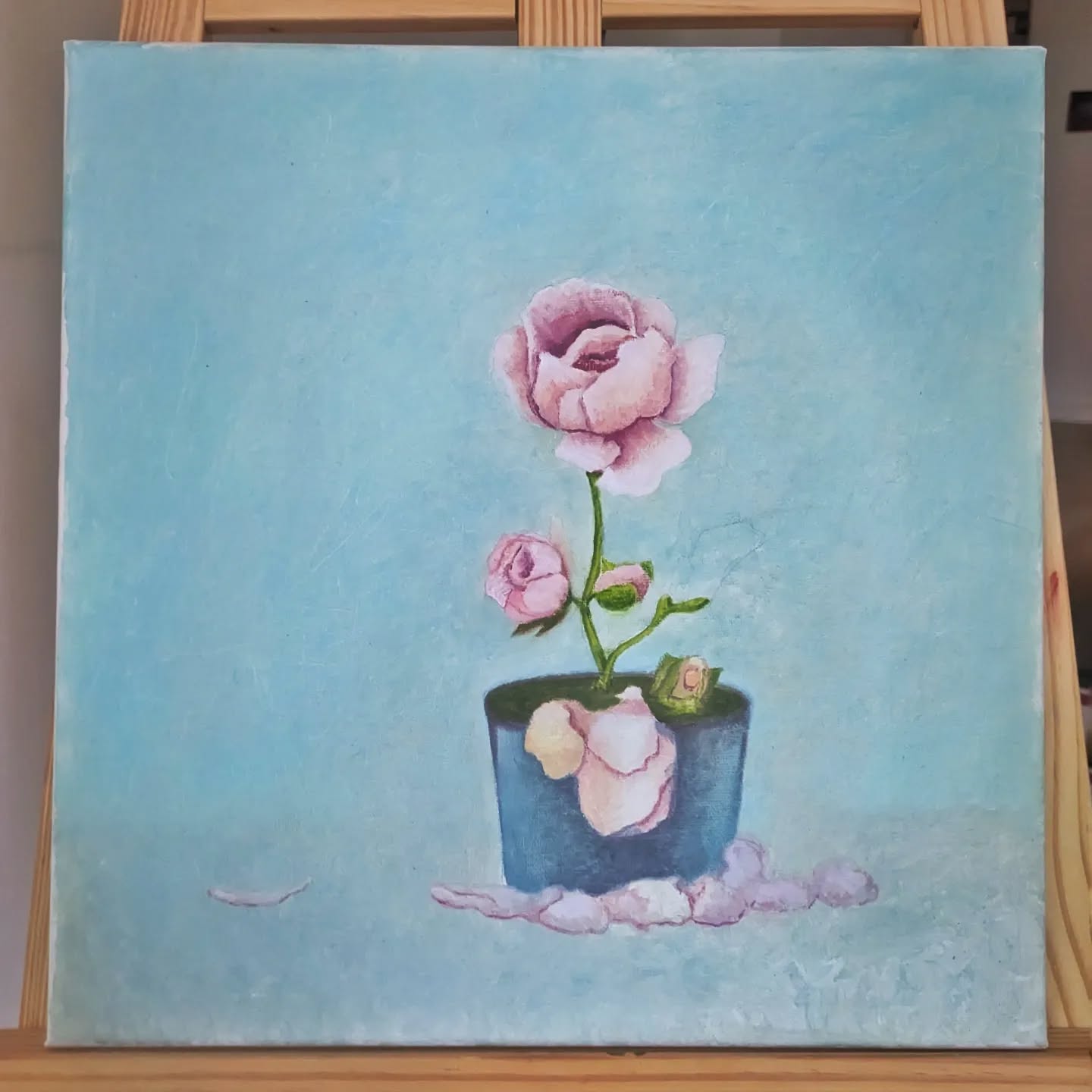 Delicate rose